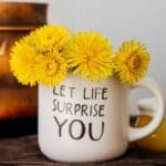 Projets collaboratifs