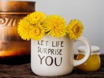 Projets collaboratifs